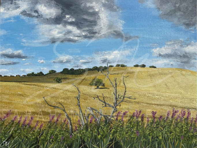 Acrylic Painting of the view towards Mountjoy from the road to Parkley Craigs, Linlithgow.